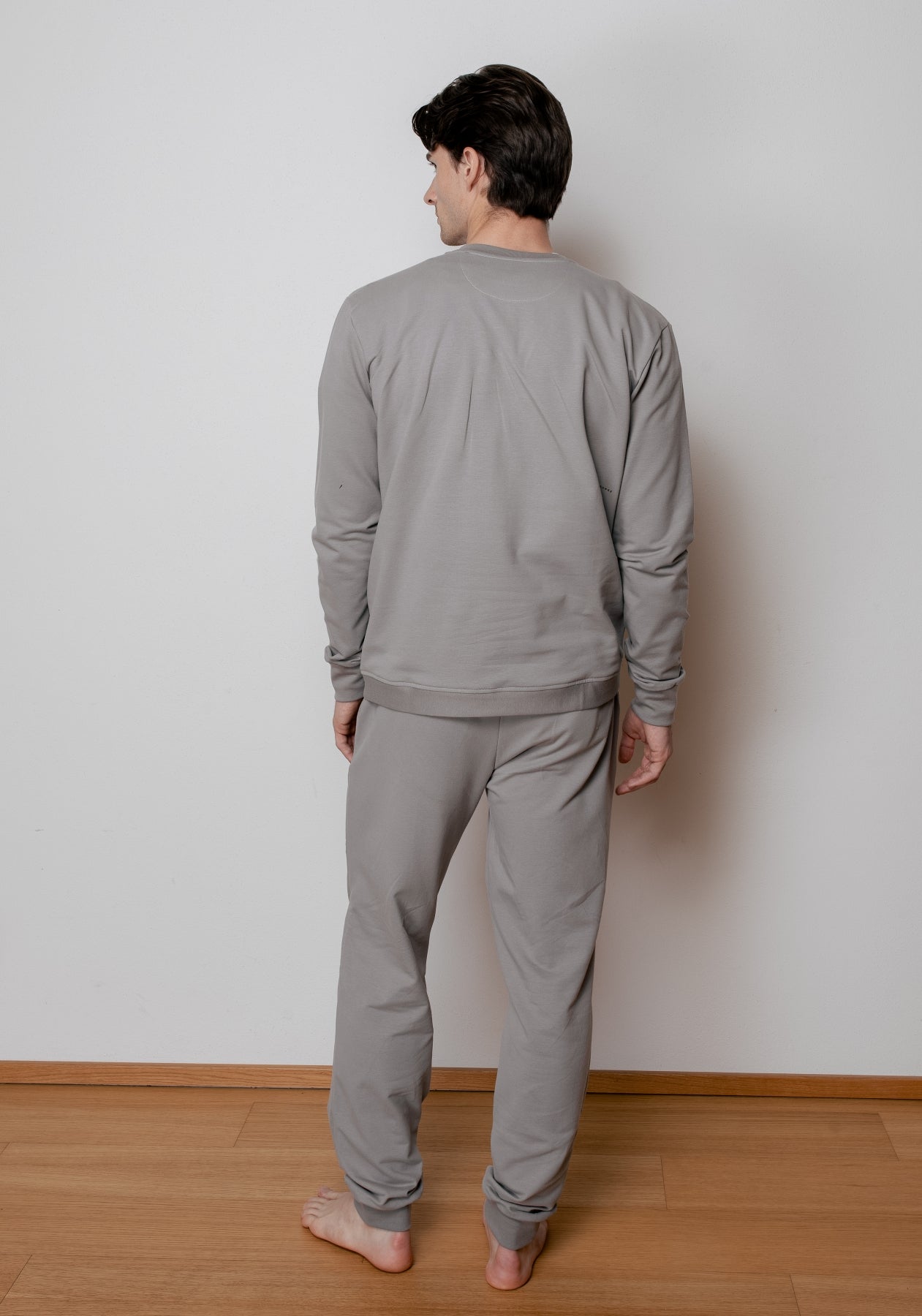 Męska bluza bawełna organiczna Gray brushed - regular update