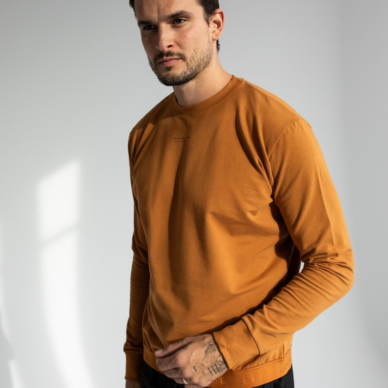 Men Sweatshirt organic cotton brushed - regular