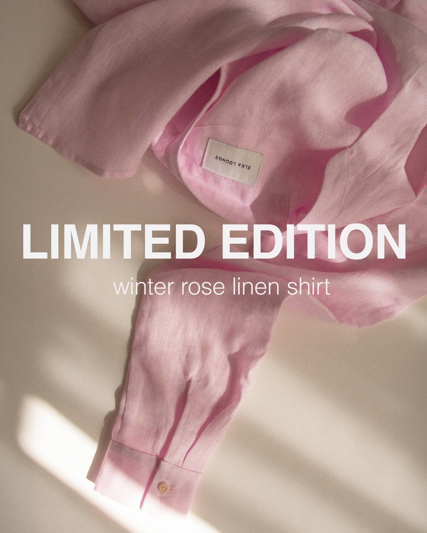 Winter Rose Limited edition