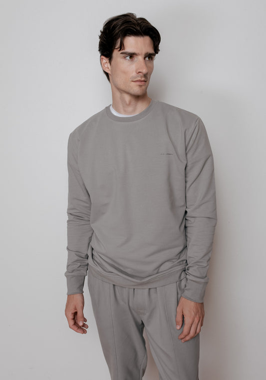 Męska bluza bawełna organiczna Gray brushed - regular update