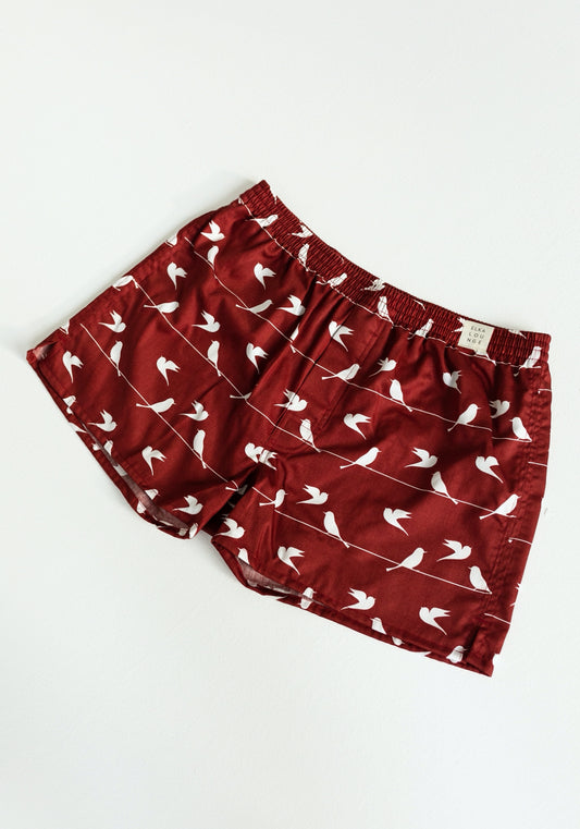 Men's shorts Doves