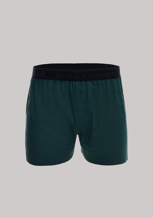 Men's shorts active Emerald