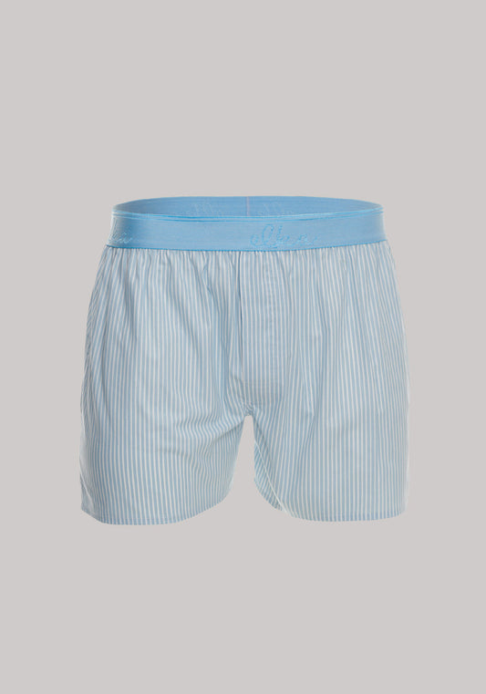 Men's shorts active Blue with stripes